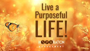 Live a purposeful life newlsetter banner